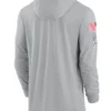 2024 Philadelphia Eagles Salute to Service Gray Long Sleeve Hooded T-Shirt