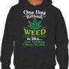 You Don't Like Weed I'll Be Blunt I Don't Think Wed Get ABong Hoodie - Image 2