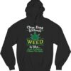 You Don't Like Weed I'll Be Blunt I Don't Think Wed Get ABong Hoodie