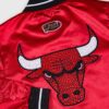 Chicago Bulls Cropped Jacket