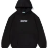 ICHPIG Hoodie