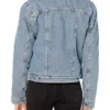 Tall Girl Jodi Kreyman Denim Jacket - Image 2