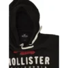 Hollister Logo Graphic Hoodie