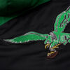 eagles pullover starter jacket