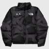 kaws x the north face retro 1996 nuptse jacket