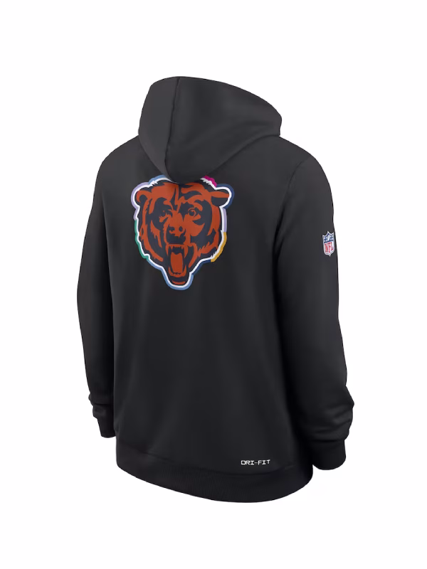 Crucial Catch Chicago Bears Hoodie 2025