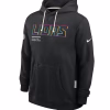 Detroit Lions Nike Black 2025 NFL Crucial Catch Sideline Standard Issue Dri-FIT Hoodie