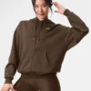 Alo Accolade Hoodie Brown