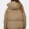 Gucci-x-The-North-Face-Brown-Puffer-Jacket