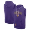 Men's Minnesota Vikings Nike Purple Sideline Standard Issue Dri-FIT Sleeveless Hoodie