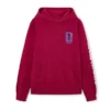 FIFA World Cup 2026 Toronto hoodie