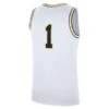Michigan Wolverines champions jersey