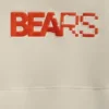Chicago Bears Steady State Hoodie - Image 4