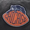 Chicago Bears Blue varsity jacket